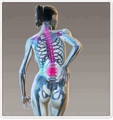 Pedro Glez Osteópata